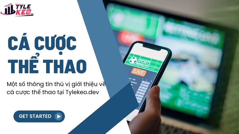 Một số thông tin thú vị giới thiệu về cá cược thể thao tại digi-c.io